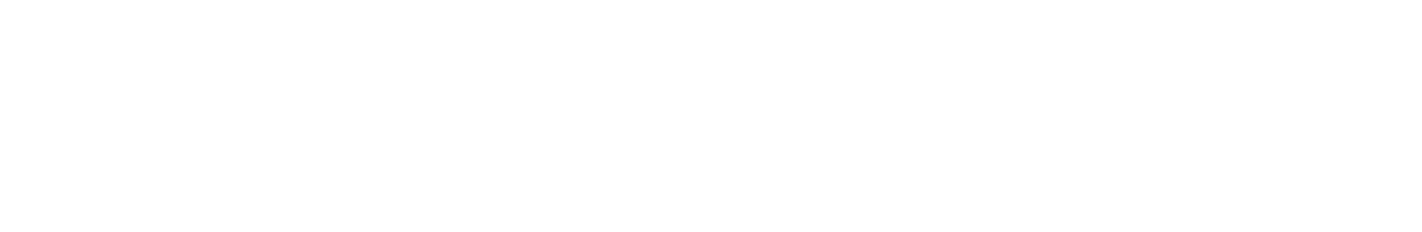 Randomblink official logo white bold wordmark